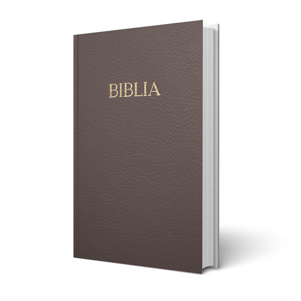 Biblia - egyszerű fordítás, barna, keménytáblás