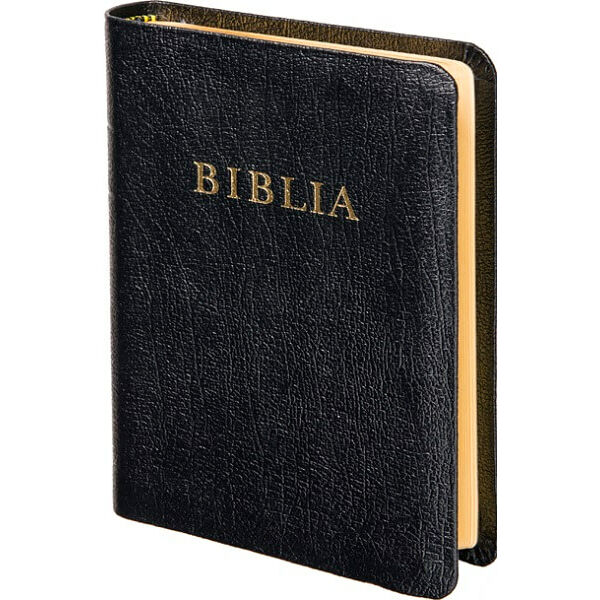 Biblia - revideált új fordítás, bőrkötés, aranymetszés, közepes