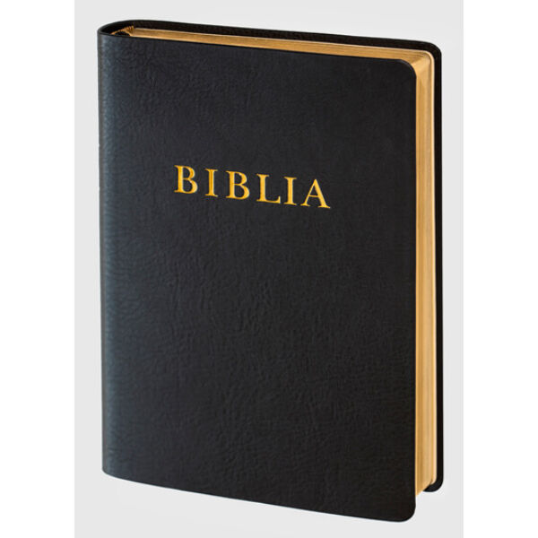 Biblia - revideált új fordítás, bőrkötés, aranymetszés, nagy családi