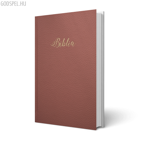 Biblia - egyszerű fordítás, rózsaszín, keménytáblás